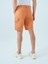 Regular Fit Erkek Şort 8
