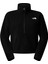 W Glacier Fleece 1/2 Zip Short Jacket Kadın Outdoor Çeyrek Fermuarlı Polar Üst NF0A8D2CJK31 Siyah 1