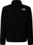 Teen Glacıer 1/4 Zıp Pullover Genç Ceketi NF0A8CVGJK31 2