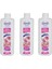 Genel Temizlik 1000 ml 3 Adet 2