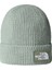 Tnf Logo Box Cuffed Beanie Bere NF0A8CHED5M1 Yeşil 1