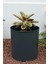 Zenith 30x30 cm Silindir Saksı - İç ve Dış Mekan Modern Metal Saksılık 2