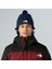 Tnf Logo Box Pom Beanıe Unisex Bere NF0A8CHF8K21 3