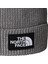 Tnf Logo Box Pom Beanıe Unisex Bere NF0A8CHFDYY1 2