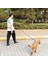 Petswuu Eller Serbest Hands Free Köpek Gezdirme Tasması – El Yapımı, 260 Cm, Çelik Kilitli 1