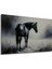 Asil Atın Hüzünlü Bakışı Yağlı Boya Görünümlü Ev/işyeri/ofis Dekoratif Ahşap Kare Tablo 3