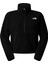 Kadın Glacıer Fleece 1/2 Zıp Shortceket NF0A8D2CJK31 1