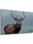Heybetli Geyik Yağlı Boya Görünümlü Dekoratif Ahşap Ev/işyeri/ofis Kare Tablo 3