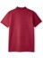 Galatasaray Premium Basic Polo T-Shirt E251133 2
