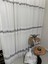Nivemeshome Keten Maya W011905.804 1/2,5 Sık Pileli Tül Perde Apm 1