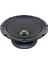 Spl Show SV-250 Neo 25 cm Midrange (500 Watt) 1