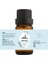 %100 Saf Uçucu Biberiye Yağı Rosmarinus Officinalis Oil - 10ml 2