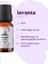 %100 Saf Uçucu Lavanta Yağı Lavandula Angustıfolıa - 10ML 3