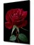 Kırmızı Gül Yağlı Boya Görünümlü Dekoratif Ahşap Ev/işyeri/ofis Kare Tablo 2