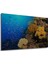 Deniz Altı Mercan Resifi Balık Sürüsü Manzarası Dekoratif Ahşap Ev/işyeri/ofis Kare Tablo 3