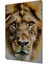 Yağlı Boya Görünümlü Aslan Portre Sanatı Ev/işyeri/ofis/salon Ahşap Dekoratif Kare Tablo 2
