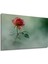 Pastel Tonlarda Gül Bahçesi Dekoratif Ahşap Ev/işyeri/ofis Kare Tablo 3