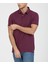 Polo Paris Mürdüm Regular 2