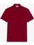 Polo Parıs Bordo Regular 4