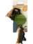 Beeztees Sumo Fit Ball Ipli Top Köpek Oyuncağı Yeşil 8 cm 1