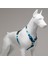 Lindo Dogs Breeze H Tipi Köpek Göğüs Tasması Mavi Beden Small 3