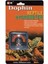 Dophin Sürüngenler Için Hydrometer Nem Ölçer 1