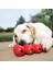 Kong Goodie Ribbon Çoklu Top Şeklinde Köpek Oyuncağı Small Kırmızı 3