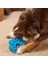 Kong Quest Star Çiçek Şeklinde Köpek Oyuncağı Small 4