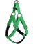 Actirex Neon Köpek Göğüs Tasması Yeşil Xsmall 1.5X35-40 cm 1