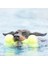 Kong Air Sq Sesli Köpek Kemik Oyuncağı Small 11.5 cm 2