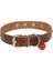 Cattie Gerçek Deriden Taşlı Kedi Boyun Tasması Xlarge Kahverengi 1.5X26-31 cm 3