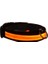 Petzz Işıklı Ayarlanabilir Flaşörlü Kedi ve Köpek Boyun Tasması Kırmızı 40-48 cm / 2.5 cm 1