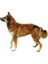 Trixie Hijyenik Köpek Külodu Medium Siyah 40–49 cm 2