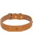 Cattie Gerçek Deriden Taşlı Kedi Boyun Tasması Xlarge Camel 1.5X26-31 cm 1