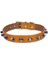 Cattie Boncuklu Deri Küçük Irk Köpek ve Kedi Boyun Tasması Xlarge Camel 1.5X26-30 cm 1
