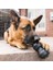 Kong Extreme Dental Diş Temizliği Için Ultra Sert Köpek Oyuncağı Large 3