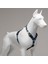 Lindo Dogs Apollo H Tipi Köpek Göğüs Tasması Mavi/sarı Beden Medium 2
