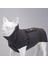 Lindo Dogs Ashen Grey Süveter Köpek Kıyafeti Gri Beden 5 2