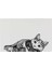 Trixie Kedi ve Köpek Plastik Servis Altlığı 44X28 cm 1