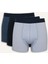 Regular Fit Puantiye 3'lü Boxer F9031AX25AU 1