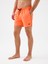 Regular Fit Erkek Deniz Şortu 4