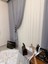 Nivemeshome Mızraklı FIR0914 AR03102 V-102 1/2,5 Sık Pileli Tül Perde Apm 1