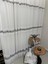Nivemeshome Keten Maya W011905.804 1/3 Sık Pileli Tül Perde Apm 4