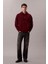 Erkek Regular Fit Premium Terry Kapüşonlu Sweatshirt - Bordo 3