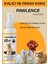 Köpek Parfümü Parazit Karşıtı Içerikli Fresh Kokulu 100ML 1