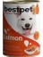 Bestpet Somonlu Jöleli Yetişkin Köpek Konservesi 400 gr 1