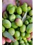 Kırma Zeytin 1