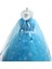 Elsa Frozen Kız Çocuk Elbise 1