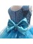 Elsa Frozen Kız Çocuk Elbise 4