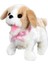 Sihirli Köpek Peluş 1